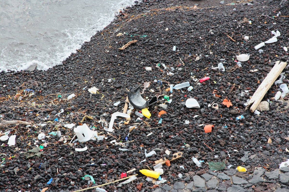 Plastic waste and pollution