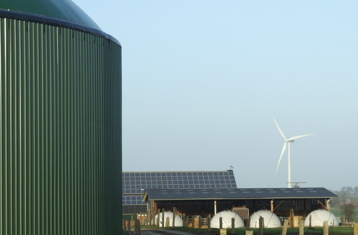 Solar panels and wind turbines